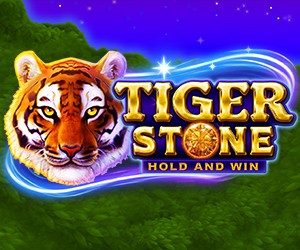 Tiger Stone