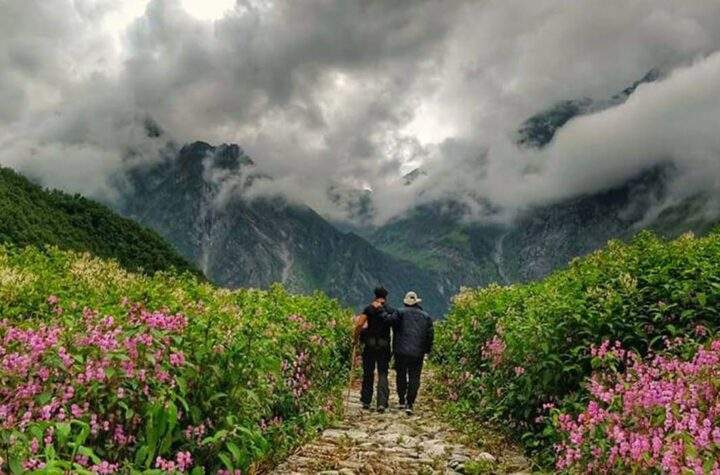 Valley of Flowers Park